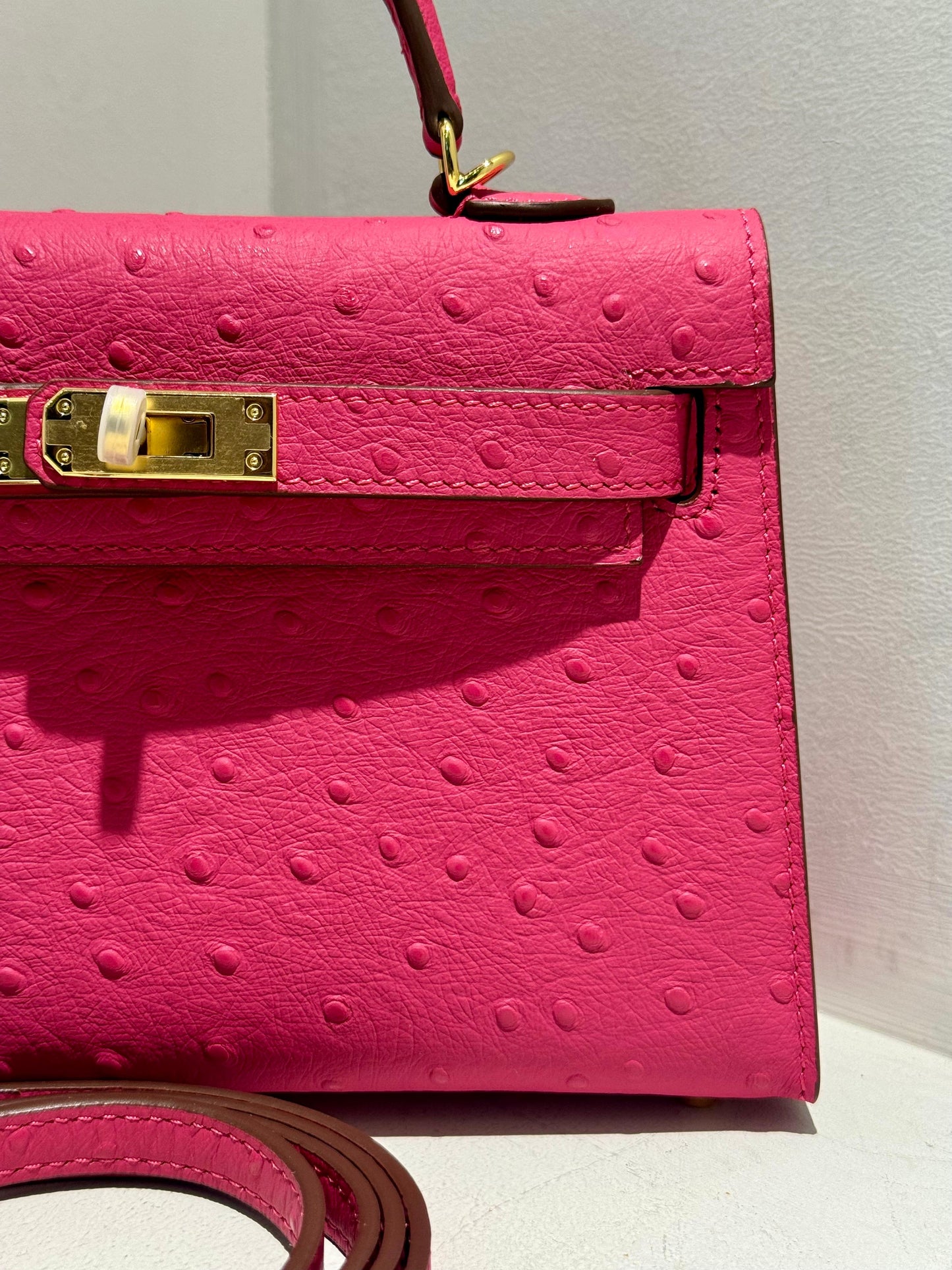 Mini Kelly Inspired - Embossed Ostrich Pattern Leather Bag